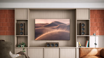  HiFi 揚聲器 