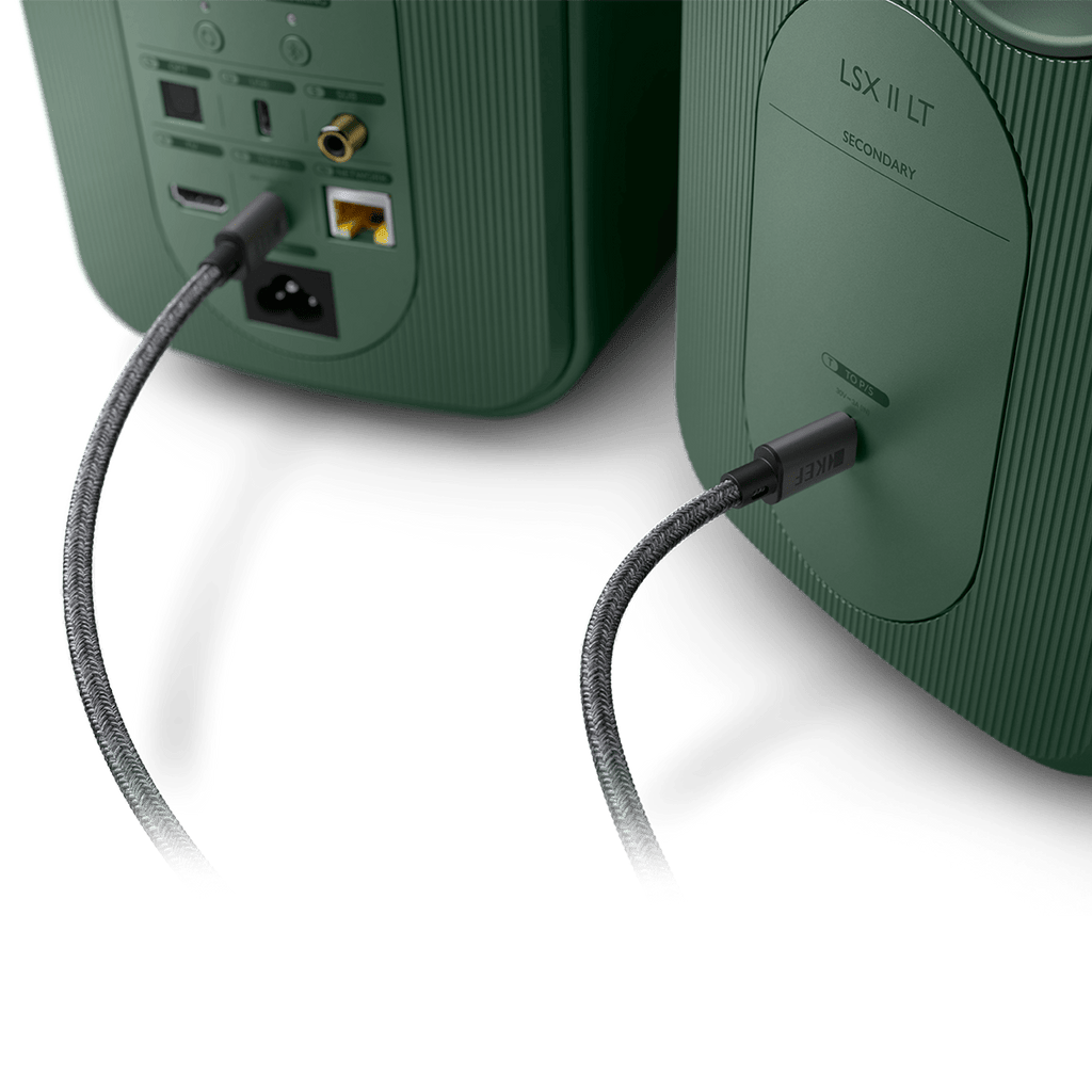 C-Link 主副揚聲器連接線